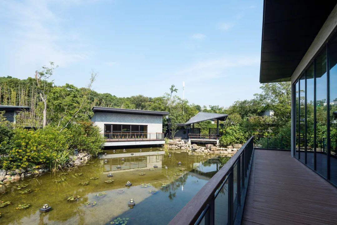 沉醉山水间苏州裸心泊度假村正式开业金螳螂匠心打造自然古朴诗意之作