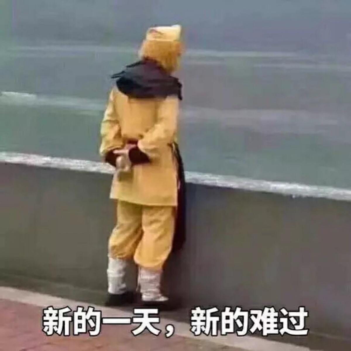 林黛玉倒拔垂杨柳