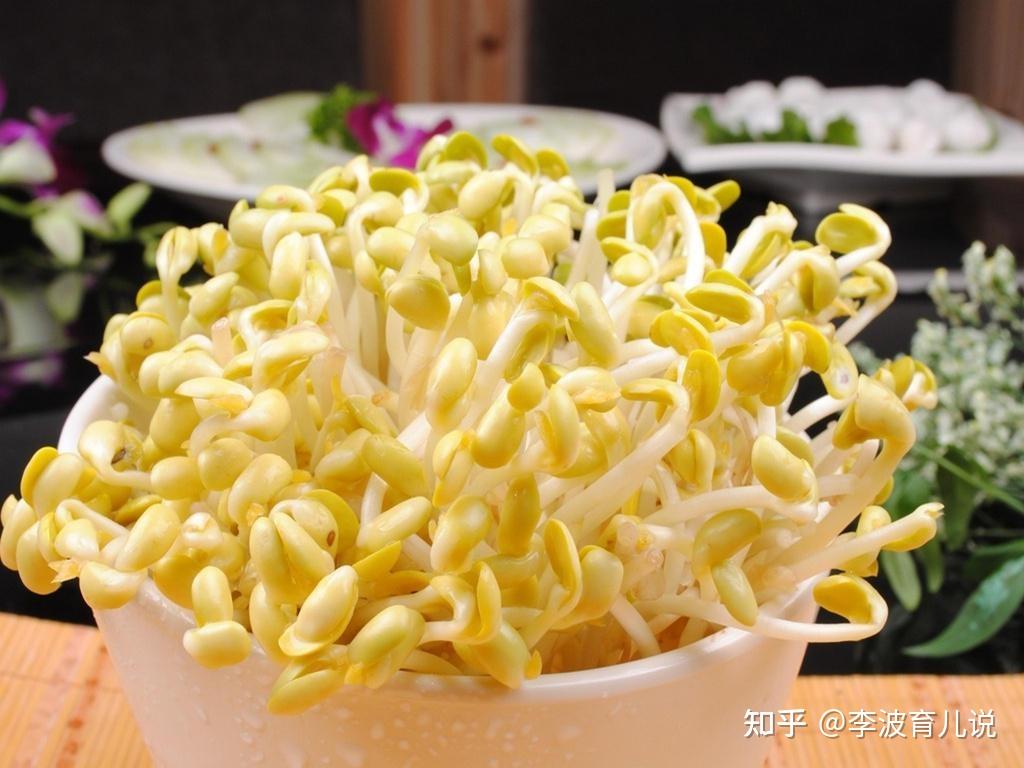 黄豆芽怎么泡发做豆芽用盆 v2-3af953a0b4f5b2b98f1b6bd535b6b4b6_r.jpg