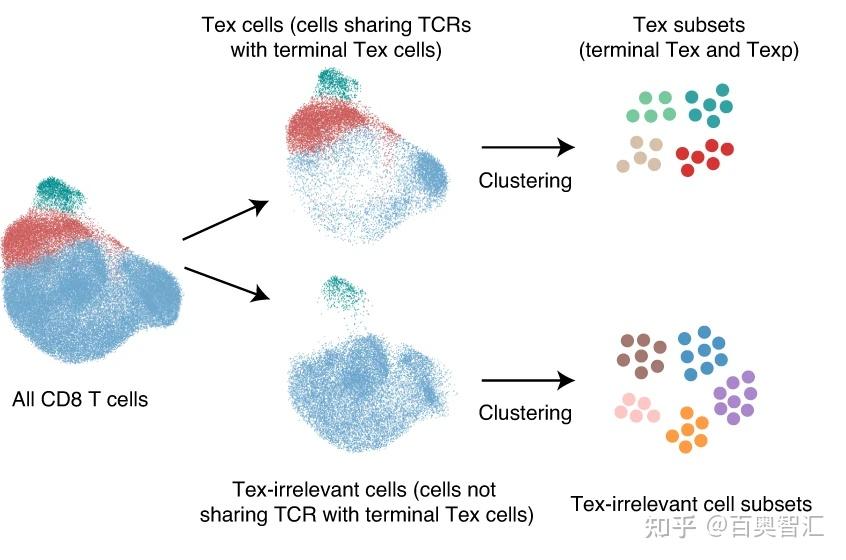 单细胞数据定制化分析——专业、前沿、高效 - 知乎