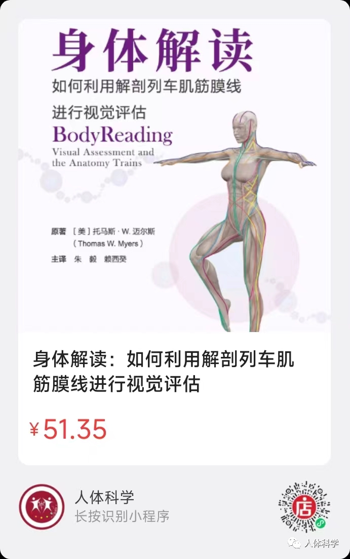【身体解读】如何利用解剖列车肌筋膜线进行视觉评估 - 知乎