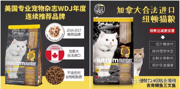 猫咪口臭常见的几大因素及解决方法 科普篇 知乎