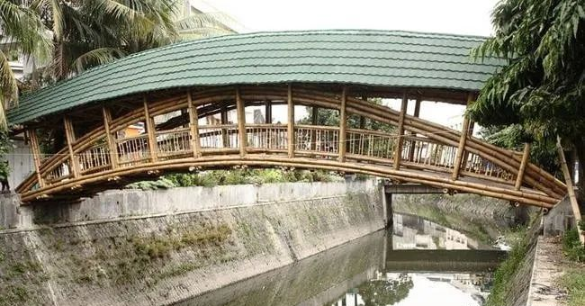 国内外四个知名特色竹桥（文旅竹桥景观）项目案例分享 令人惊叹 - 知乎
