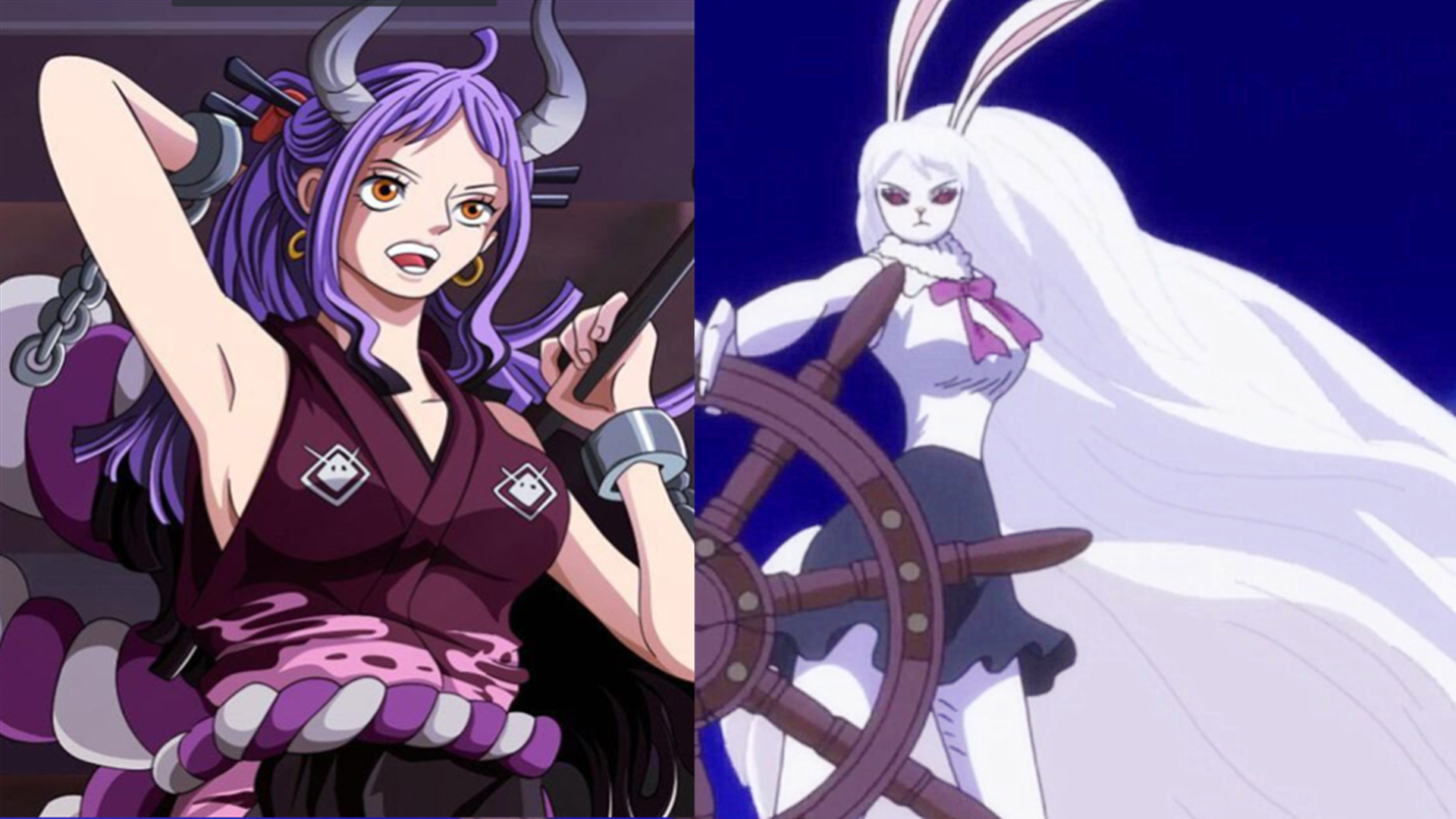 草帽团同时迎来两位女性角色,看来山治要变强不少啊!