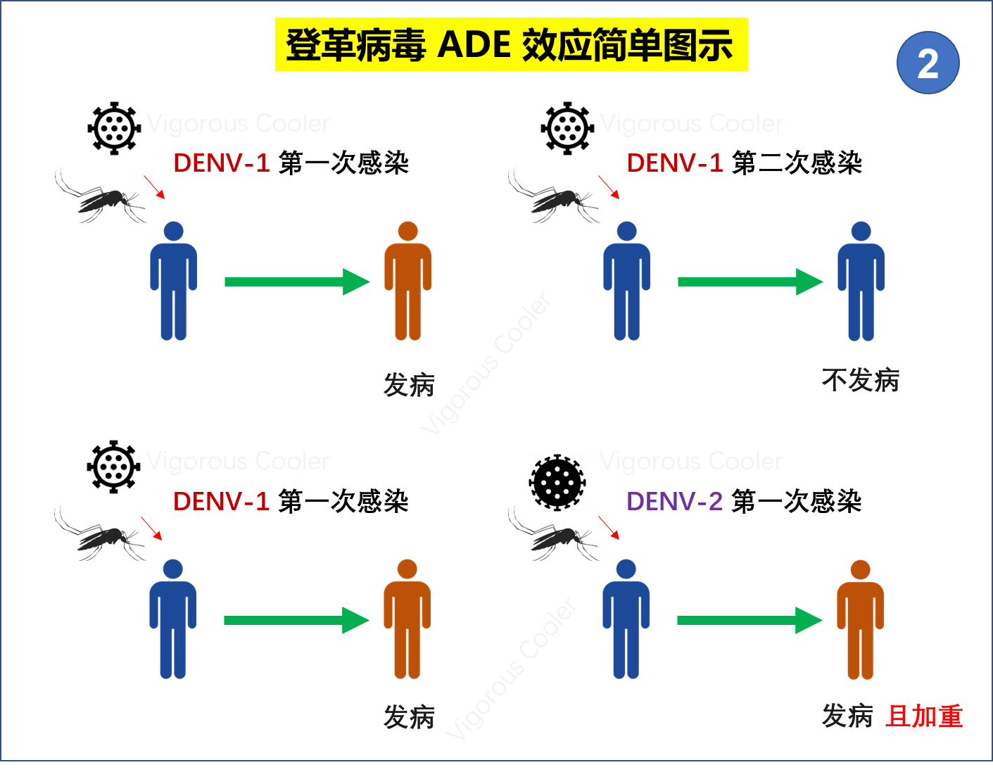 如何设计新型冠状病毒疫苗 以避免ADE效应？——冠状病毒ADE效应的机理初探 JVI - 知乎