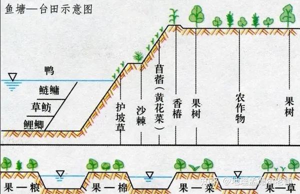 土壤盐碱化 - 知乎