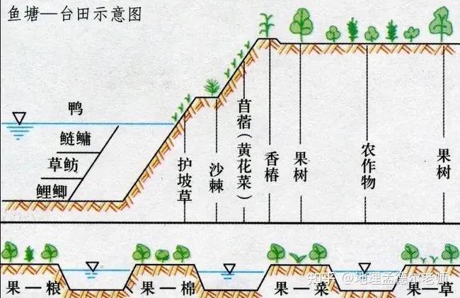 华北平原鱼塘台田模式图片