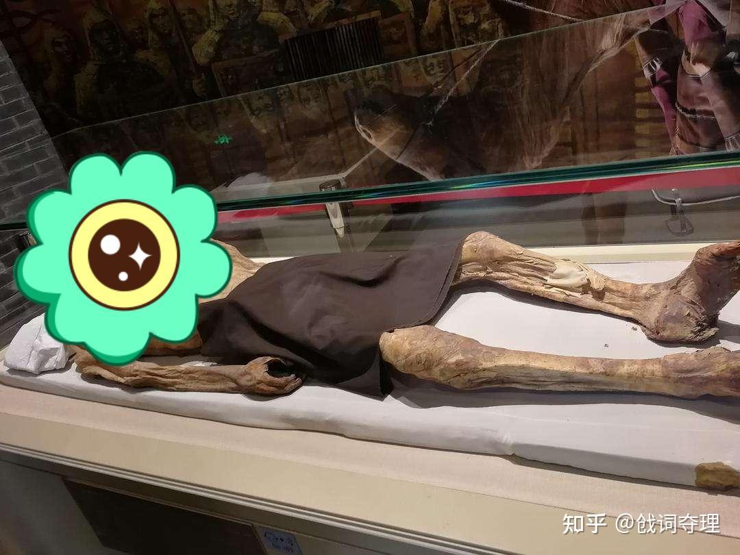 法医秦明解释胡某宇尸检疑问,不论你愿不愿意信,这就是真相!