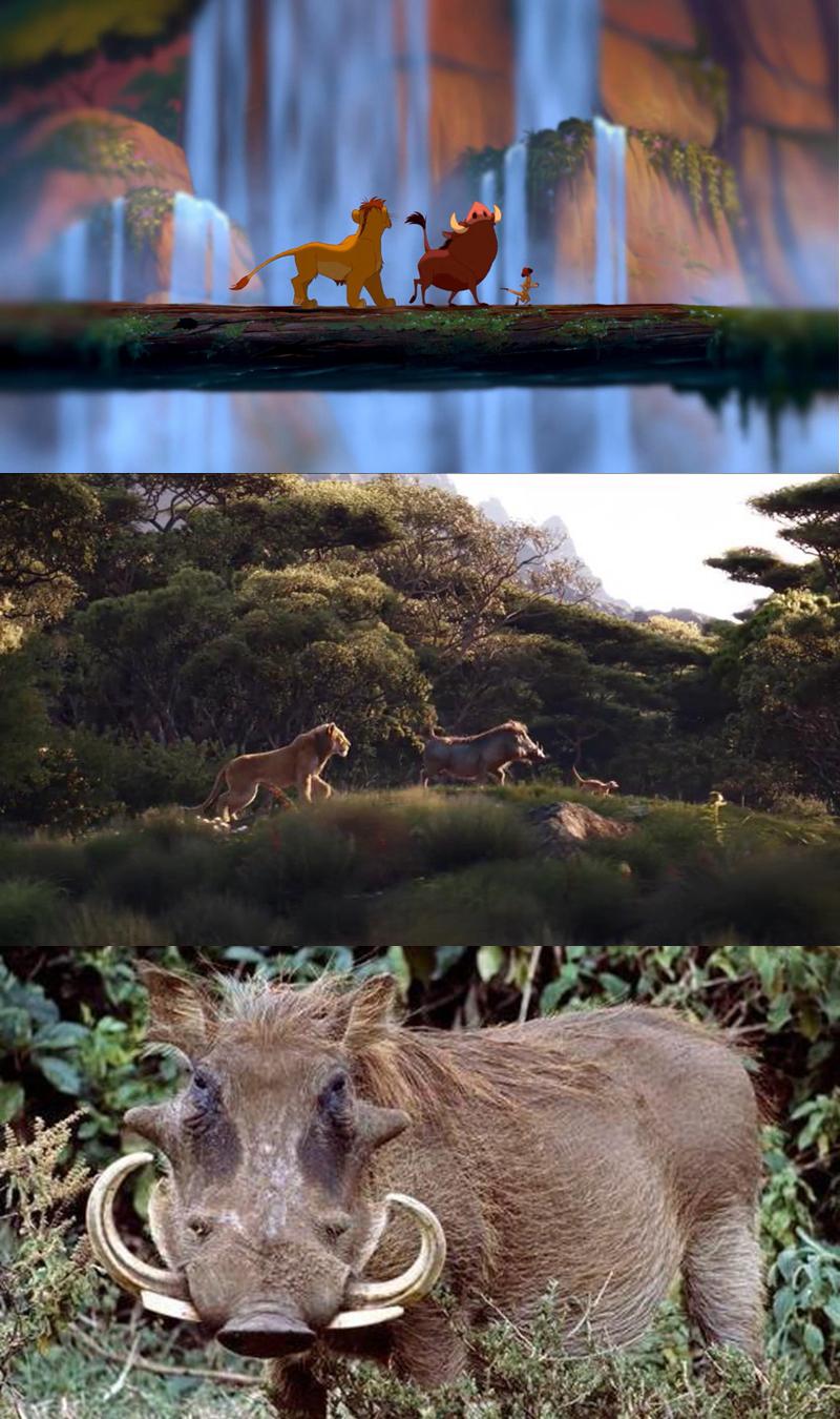 真人版电影狮子王2019好看吗