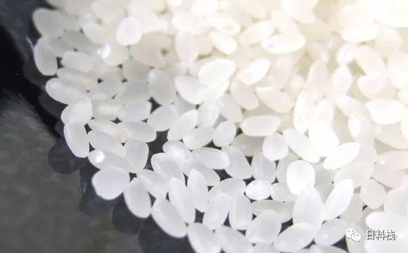 日本米 了解一下 知乎