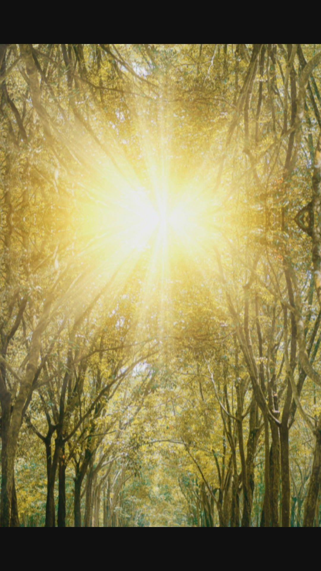 愿你阳光下像个孩子风雨里像个大人