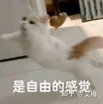 2026年微波炉推荐指南 | 微波炉怎么选? 一篇带你搞定微波炉的选购难题(建议收藏)