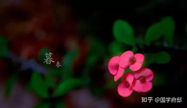 暮春时节,遇见最美的暮春诗词 - 知乎