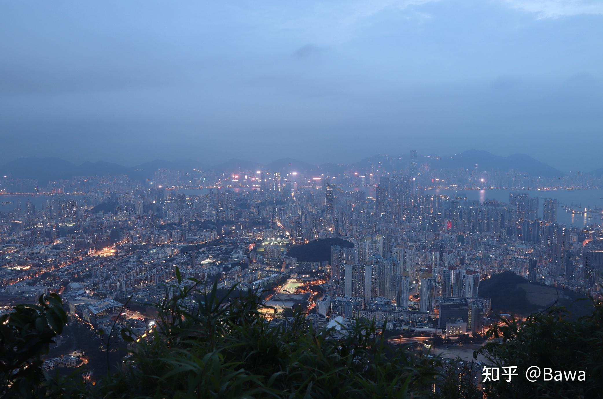 在香港之笔架山的猴子 - 知乎