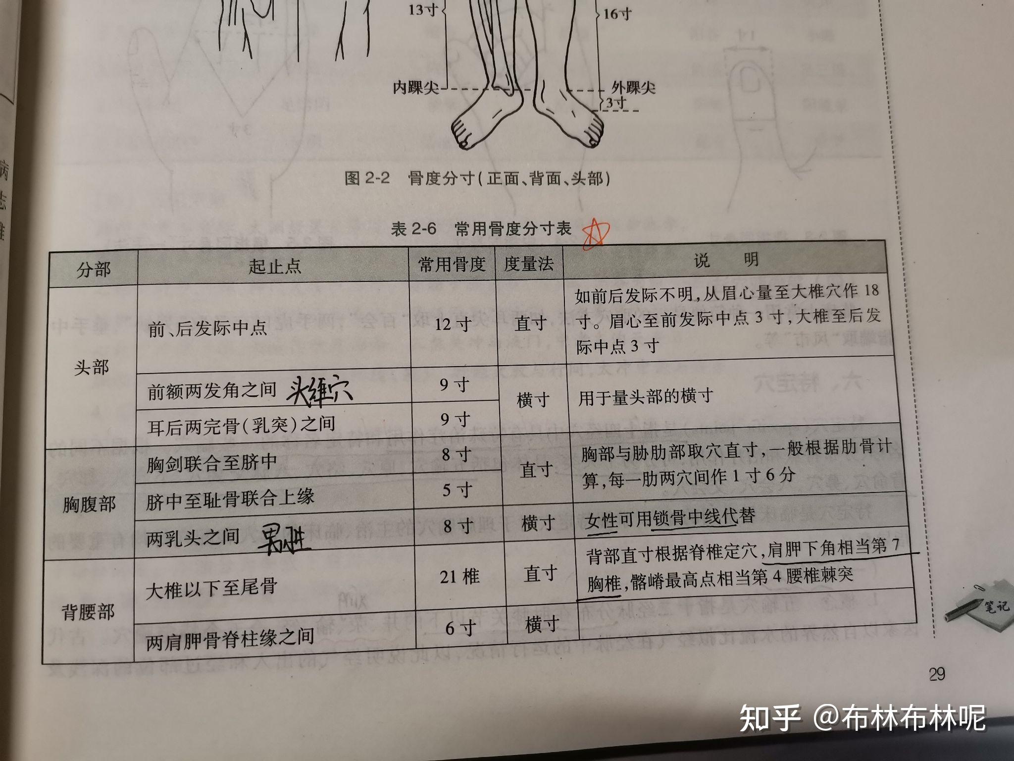 骨度分寸定位法口訣