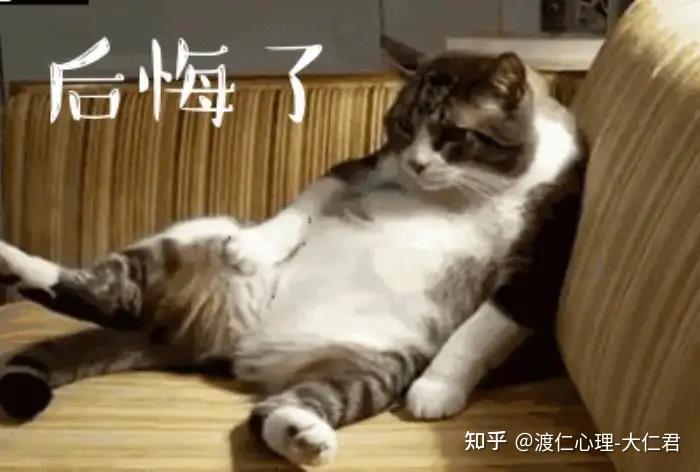 你会经常为自己做的决定感到后悔吗? - 知乎
