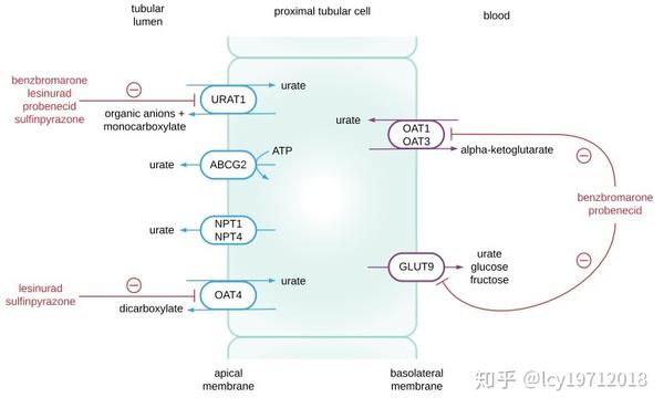 知乎专栏