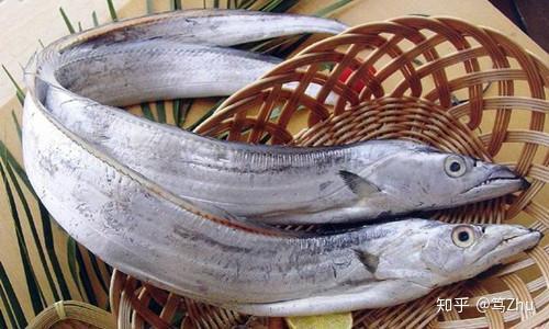 各种鱼类用潮汕话怎么说?