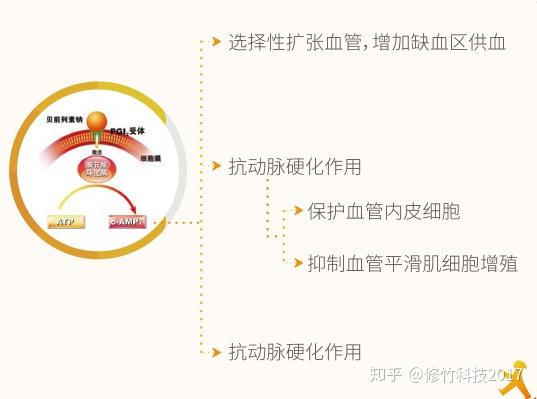 抗血管生成药物 zhuanlan.zhihu.com