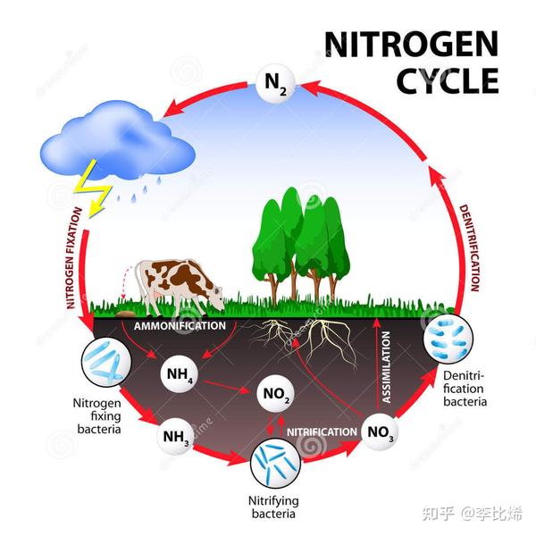 氨的故事(一)——哈伯合成氨 - 知乎