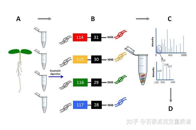 血清蛋白质组学:揭示生物系统中蛋白质组的潜在生物标志物 - 知乎