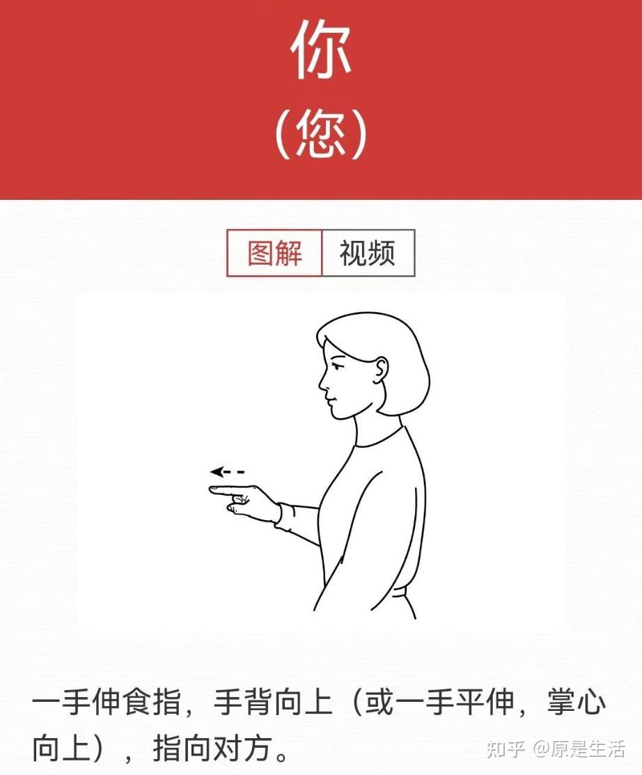 用手说话——我们一起学手语 - 知乎