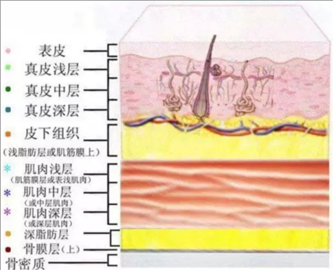 关于皮肤的基础管理 知乎 