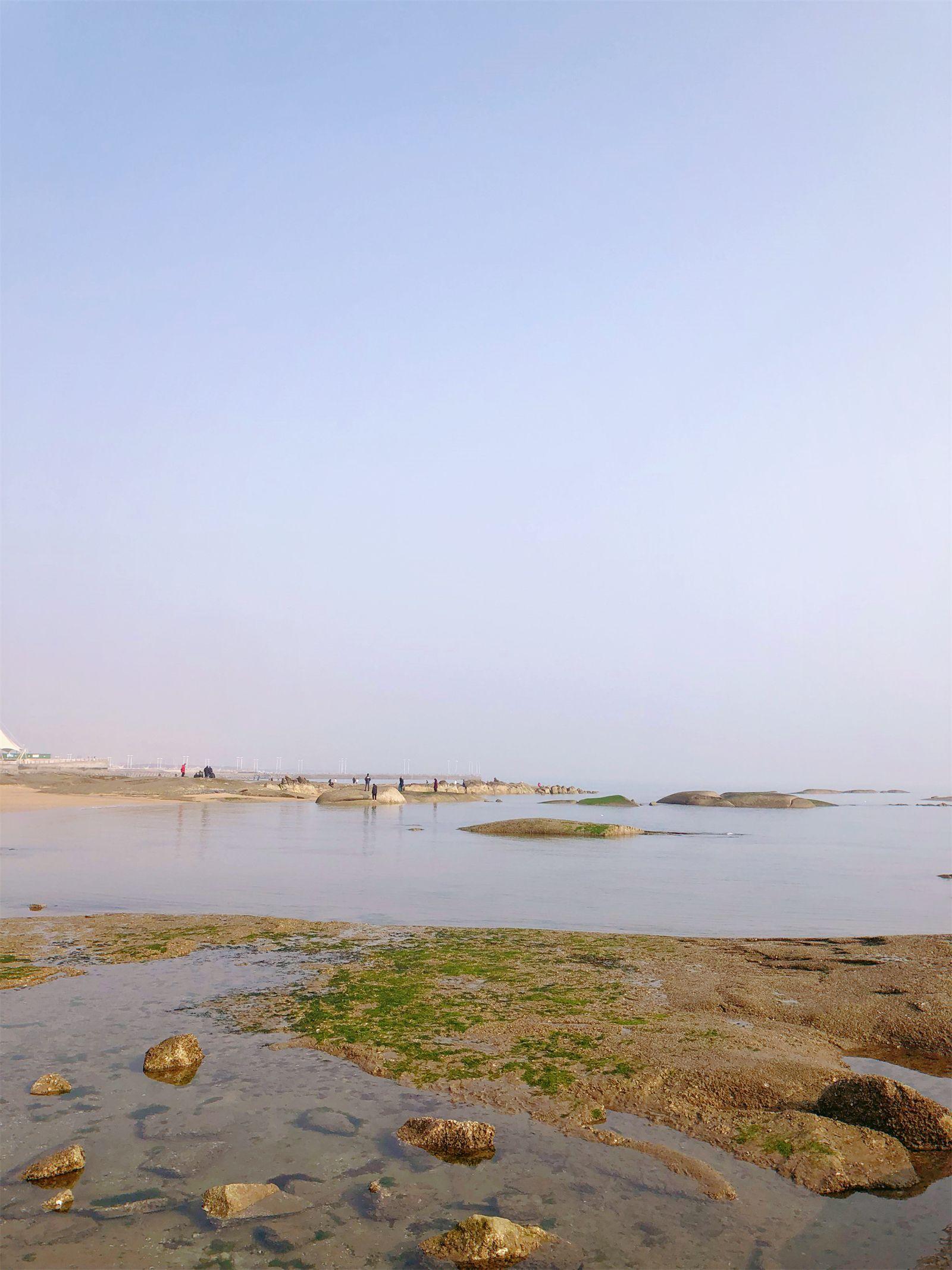 我推薦的是張家臺,任家臺,李家臺和太公島牡蠣公園,裡面的設施很完善