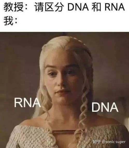 端粒与端粒酶1：如何让生命时钟维持平衡？ - 知乎