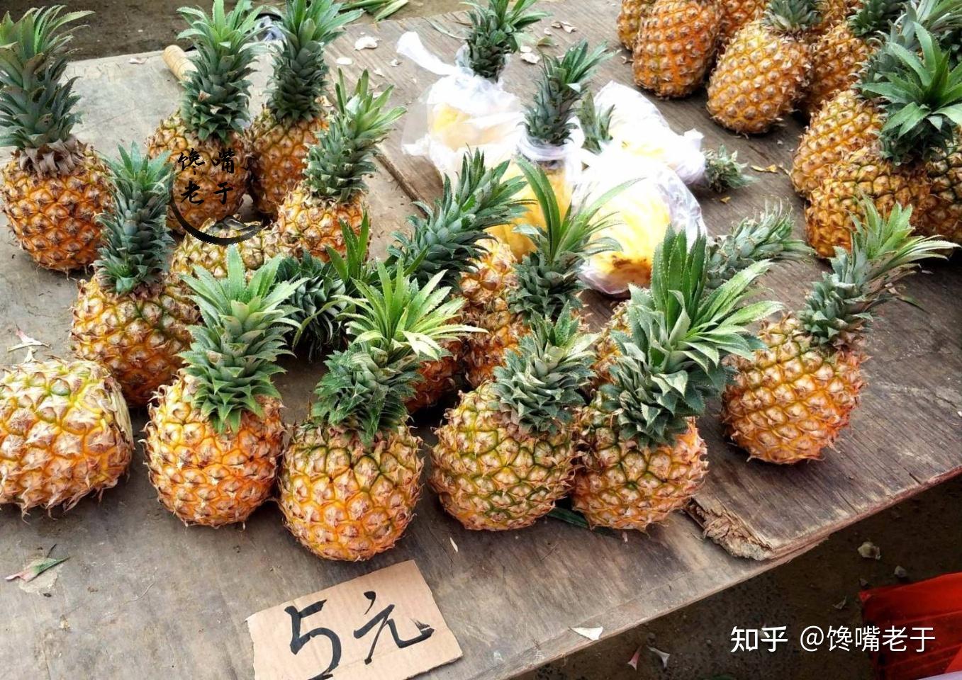 菠萝菠萝菠萝菠萝菠萝菠萝的海！_焦点_新闻频道_云南网