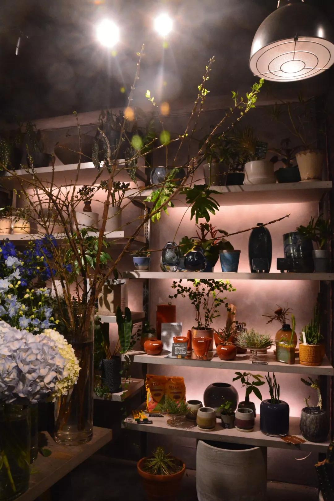 看一间花店如何烂漫时光