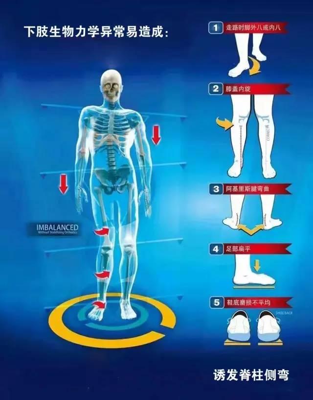 人体生物力线图片