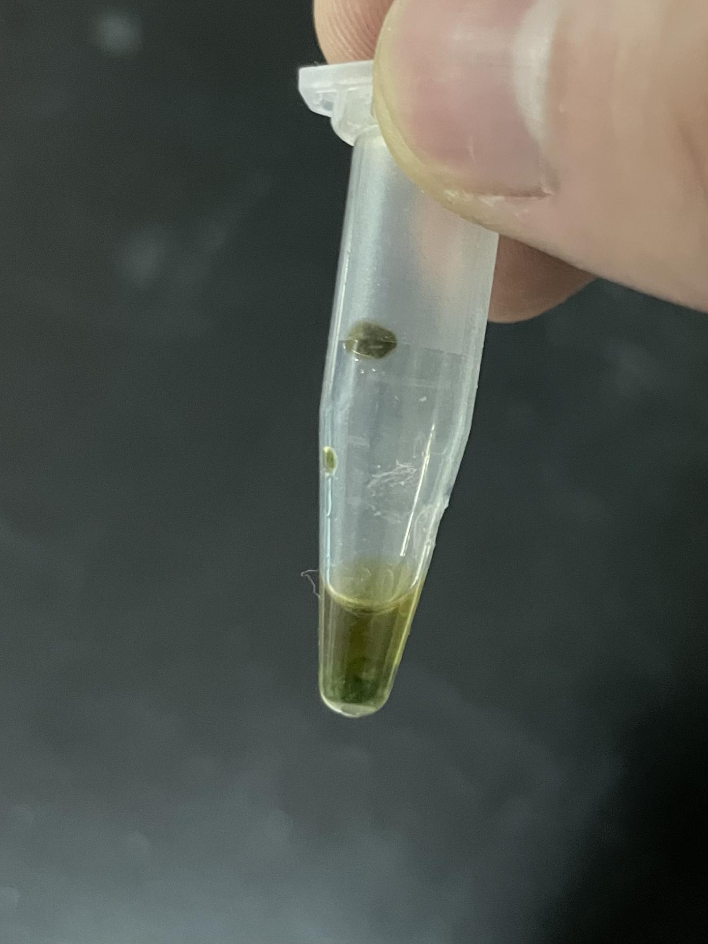 v2-3c5ce19c141fdcc0041155d99b4265be_1440w.jpg?source=172ae18b