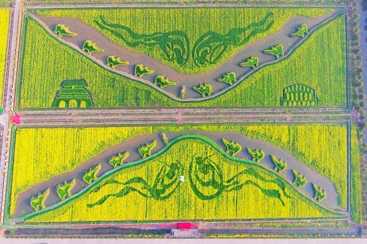 农业的规模化种植技术优势,在大型农田中合理打造大地艺术,产业与景观
