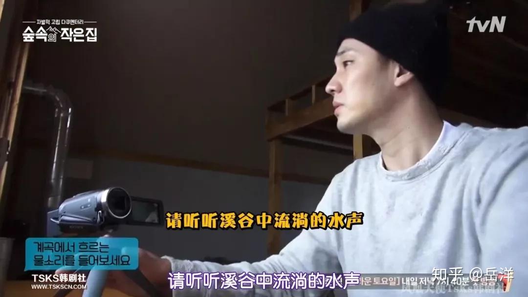 细数那些不错的综艺之我的小屋林中小屋