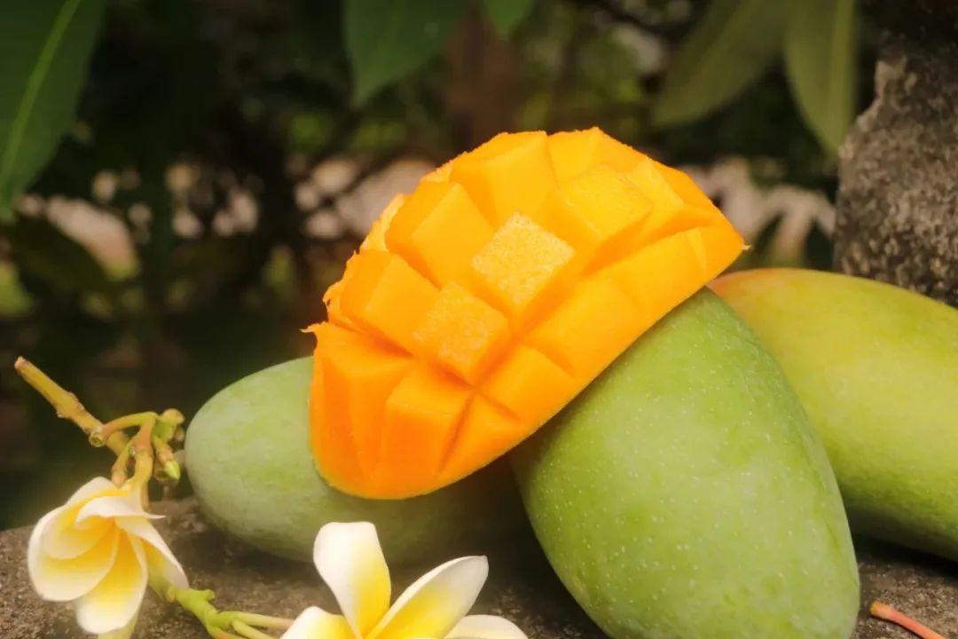 广西百色大青芒499元包邮送到家个大饱满肉厚多汁