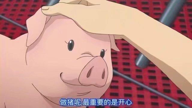 不玩快手.抖音,不了解王乐乐,杨清柠这些主播的