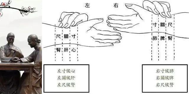 堵住了在那会你摸到那个脉象,它就是那种紧脉,很紧,碰到那过不去