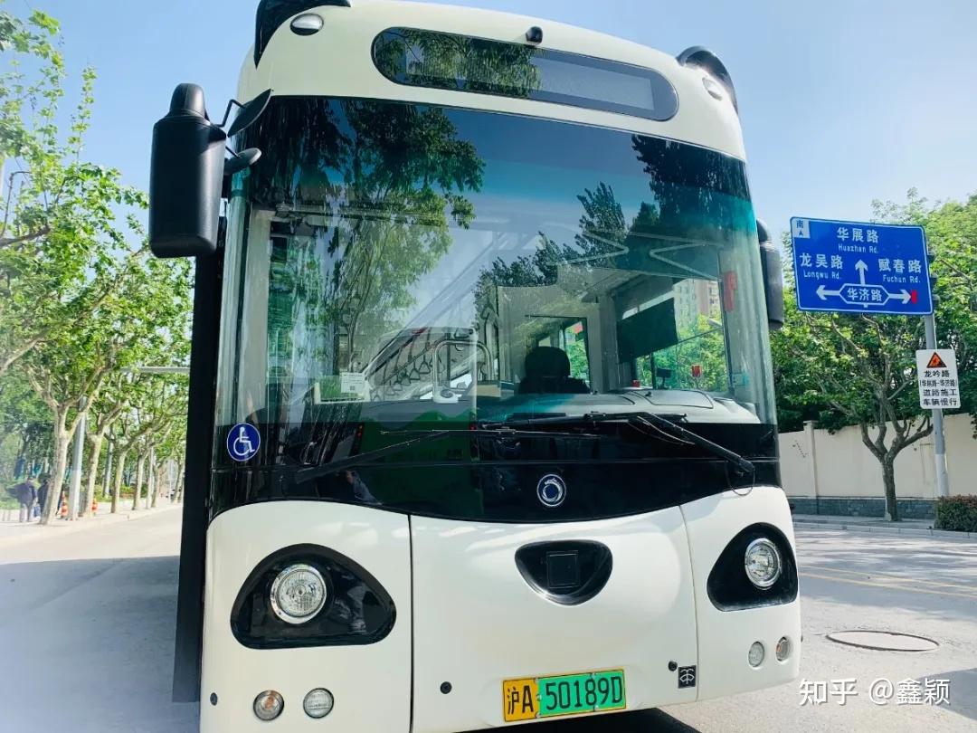 呆萌熊猫公交车现身滨江，上海公交来了颜值担当 - 封面新闻
