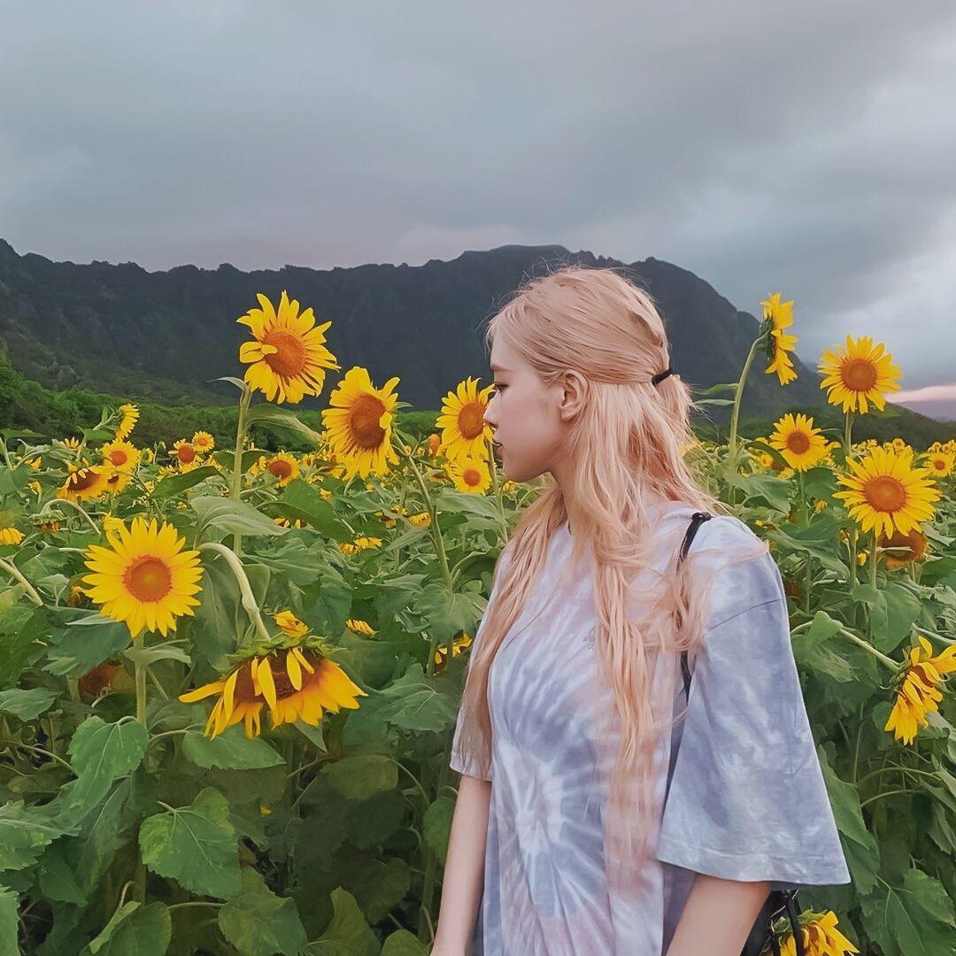 朴彩英头像金发碧眼朴彩英79ros07