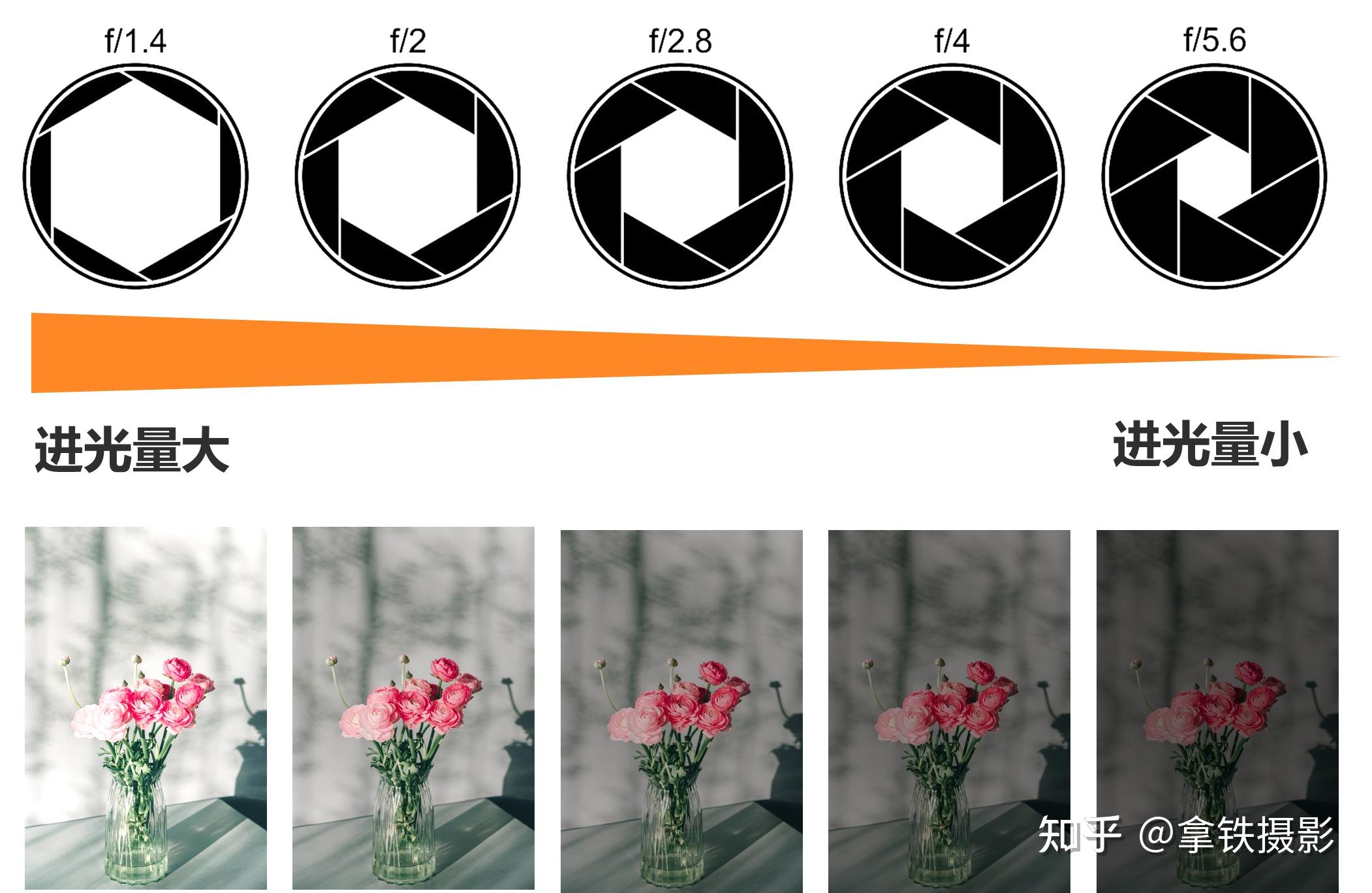 📸摄影新手必看—光圈是什么？ - 知乎