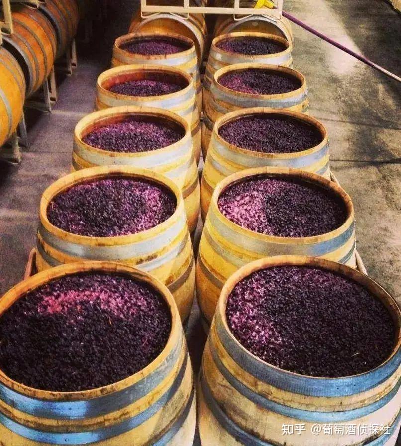 终于到了发酵这一步……在酿造红葡萄酒时,葡萄会带皮发酵,这样可以