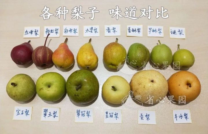 椰皇好吃还是椰青。 ？ - 知乎