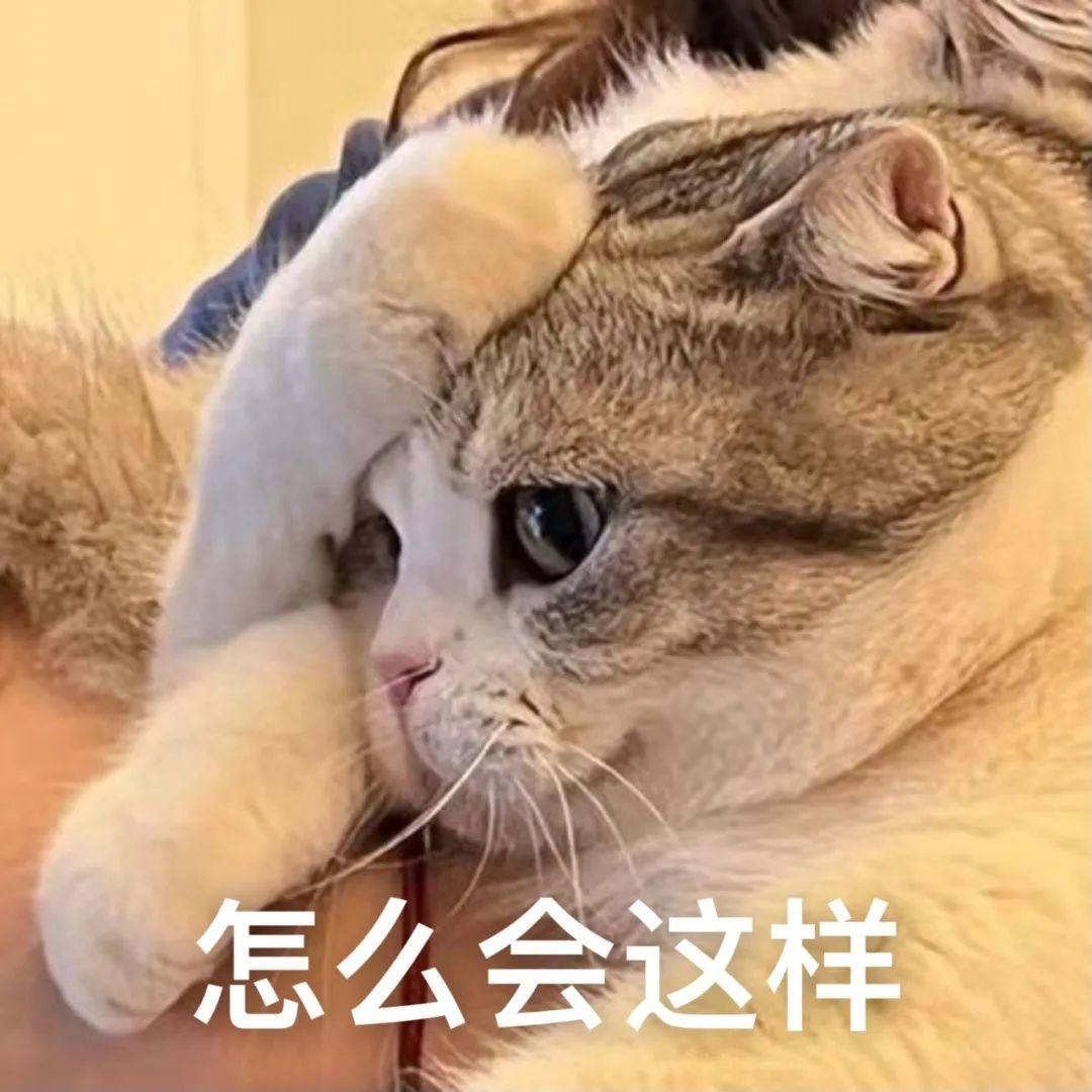 有没有类似这些可爱的表情包? - 知乎