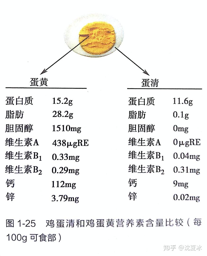 营养学入门13蛋类和奶类的营养价值