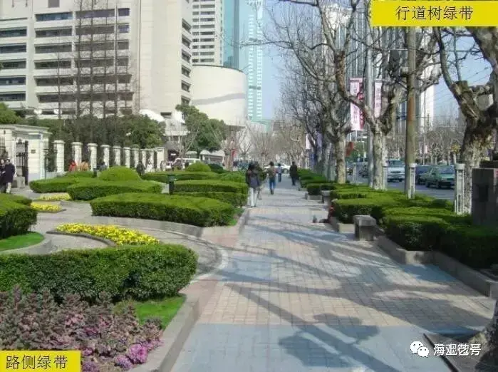 城市道路绿地景观设计_中铁城际规划建设有限公司