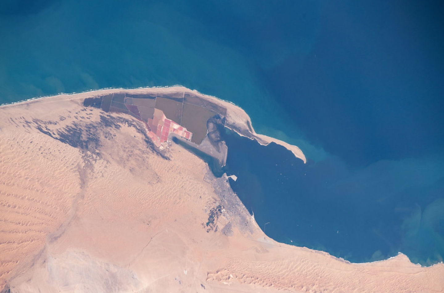 纳米比亚鲸湾港图片