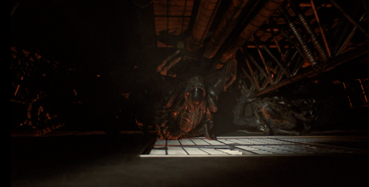 我打赌你不知道《异形2》最后那枚让人绝望的