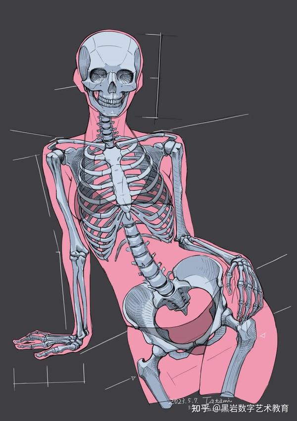 日本人体解剖学上/下-