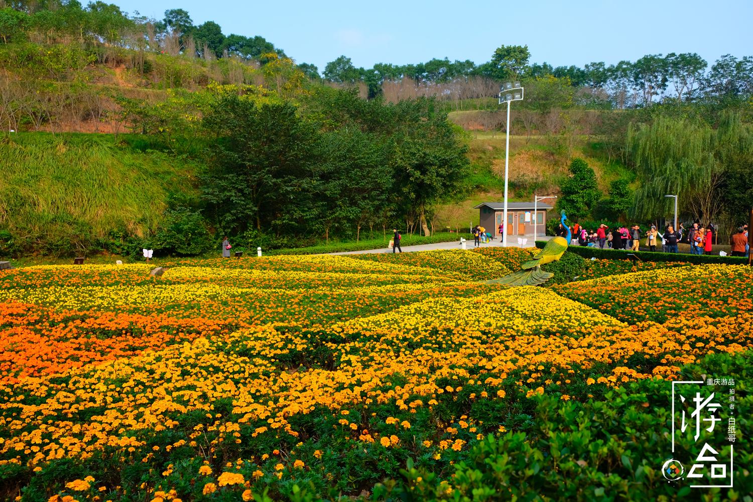 鼎山之巔的主題公園,江津人民交口稱讚,來過絕不後悔